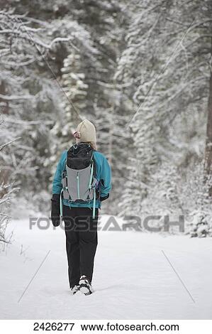 A woman hikes in the snow; Banff, Alberta, Canada View Large Photo Image Stock Photo - A woman hikes in the snow; Banff, Alberta, Canada. Fotosearch