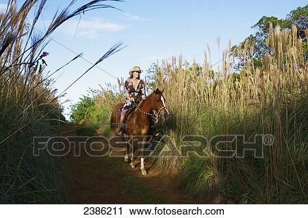 A woman rides her horse down a trail; Hawaii, United States of America View Large Photo Image Stock Image - A woman rides her horse down a trail; Hawaii, United States of America. Fotosearch