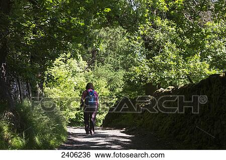 A woman walks with her backpack down a trail surrounded by trees; Northumberland, England View Large Photo Image Stock Photograph - A woman walks with her backpack down a trail surrounded by trees; Northumberland, England. Fotosearch