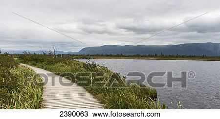 Stock Image - A wooden boardwalk along the atlantic coast at Norris Point; Newfoundland and Labrador, Canada. Fotosearch