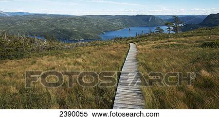 A wooden boardwalk leading toward Bonne Bay on the atlantic coast; Newfoundland and Labrador, Canada View Large Photo Image Stock Photography - A wooden boardwalk leading toward Bonne Bay on the atlantic coast; Newfoundland and Labrador, Canada. Fotosearch