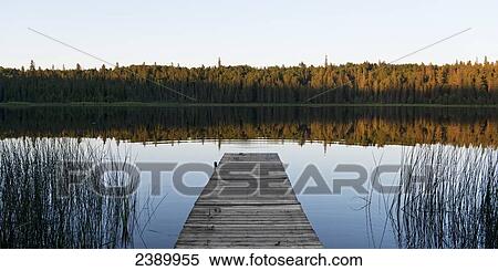 Stock Photography - A wooden dock leading out to a tranquil lake at sunset in Riding Mountain National Park; Manitoba, Canada. Fotosearch