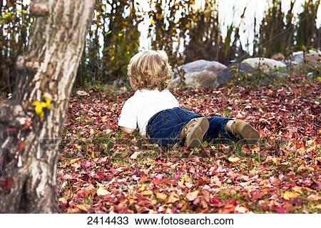 A young boy lays on the ground in the fallen autumn coloured leaves; Edmonton, Alberta, Canada View Large Photo Image Stock Image - A young boy lays on the ground in the fallen autumn coloured leaves; Edmonton, Alberta, Canada. Fotosearch