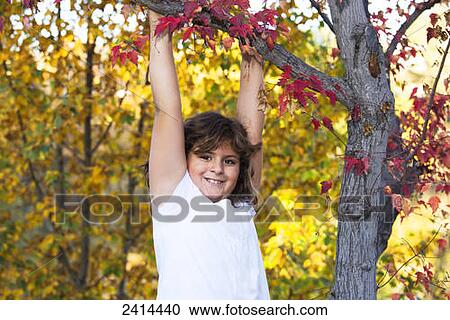 A young girl hanging from a tree in a park in autumn; Edmonton, Alberta, Canada View Large Photo Image Stock Image - A young girl hanging from a tree in a park in autumn; Edmonton, Alberta, Canada. Fotosearch