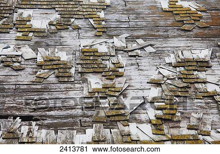 Abandoned barn roof with rotting shakes; St. Albert, Alberta, Canada View Large Photo Image Stock Image - Abandoned barn roof with rotting shakes; St. Albert, Alberta, Canada. Fotosearch