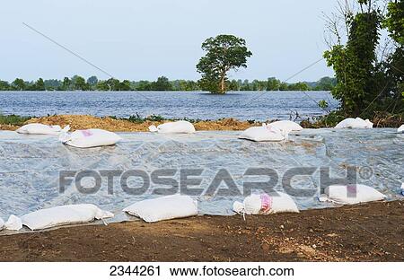 Stock Image - Agriculture - A levee constructed to hold back flood waters of the Yazoo River during the Mississippi River flood of May, 2011. The flooded area in the background was a mid growth corn field / Mississippi, USA.. Fotosearch