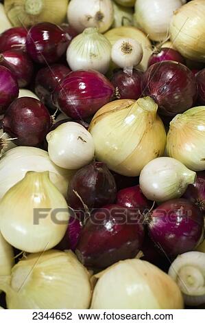 Stock Image - Agriculture - A mix of white, sweet and red onions at a local family produce farm / Little Compton, Rhode Island, USA.. Fotosearch