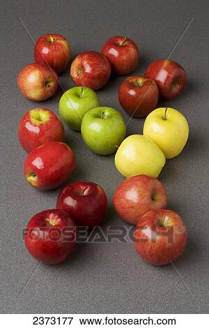 Agriculture - Apples varieties in a studio setting #1 (front left to back right): Red Rome, Fuji, Pink Lady, Granny Smith, Golden Delicious, Gala, Jonagold and Braeburn. View Large Photo Image Stock Photo - Agriculture - Apples varieties in a studio setting #1 (front left to back right): Red Rome, Fuji, Pink Lady, Granny Smith, Golden Delicious, Gala, Jonagold and Braeburn.. Fotosearch