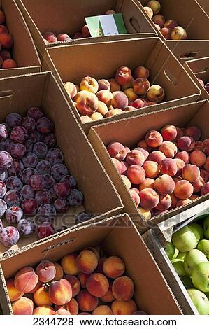 Stock Photo - Agriculture - Boxes of peaches, plums and green apples for sale at the Hope Street Farmers Market / Providence, Rhode Island, USA.. Fotosearch
