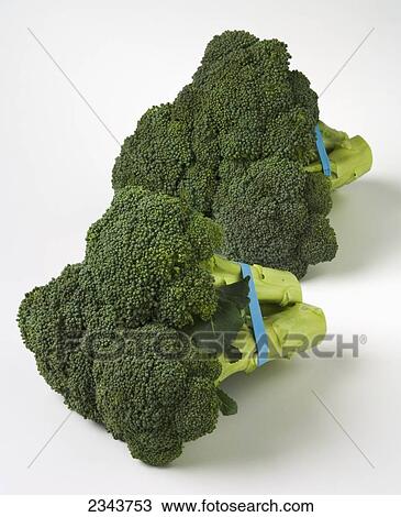 Stock Image - Agriculture - Broccoli heads on a white surface.. Fotosearch