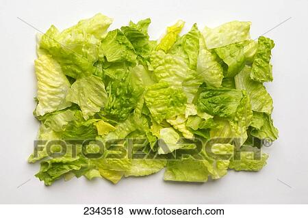 Agriculture - Chopped Romaine lettuce on a white surface. View Large Photo Image Stock Photo - Agriculture - Chopped Romaine lettuce on a white surface.. Fotosearch