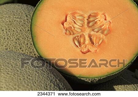 Stock Image - Agriculture - Closeup of a freshly harvested cantaloupe sliced in half / Imperial Valley, California, USA.. Fotosearch