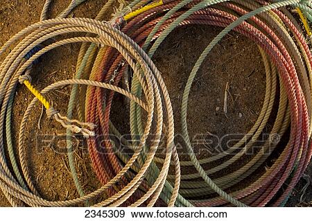Agriculture - Closeup of a group of lariat ropes / Childress, Texas, USA. View Large Photo Image Stock Photo - Agriculture - Closeup of a group of lariat ropes / Childress, Texas, USA.. Fotosearch