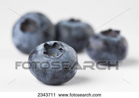 Agriculture - Four blueberries on a white surface. View Large Photo Image Stock Image - Agriculture - Four blueberries on a white surface.. Fotosearch