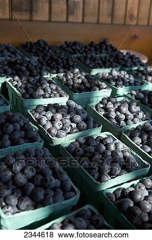 Stock Photo - Agriculture - Fresh blueberries in containers at a country farmstand / Little Compton, Rhode Island, USA.. Fotosearch