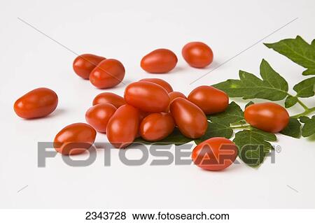 Agriculture - Fresh Grape tomatoes and leaves on a white surface. View Large Photo Image Stock Photo - Agriculture - Fresh Grape tomatoes and leaves on a white surface.. Fotosearch