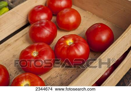 Picture - Agriculture - Fresh Market tomatoes on display in crates at the Hope Street Farmers Market / Providence, Rhode Island, USA.. Fotosearch