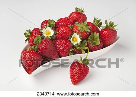 Agriculture - Fresh strawberries in a white bowl with blossoms. View Large Photo Image Picture - Agriculture - Fresh strawberries in a white bowl with blossoms.. Fotosearch