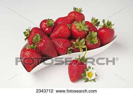 Agriculture - Fresh strawberries in a white bowl with a blossom. View Large Photo Image Stock Image - Agriculture - Fresh strawberries in a white bowl with a blossom.. Fotosearch