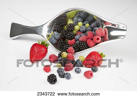 Stock Image - Agriculture - Fresh strawberries, red raspberries, blackberries, blueberries and gooseberries spilling out of a metal scoop.. Fotosearch