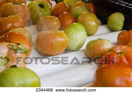Stock Photo - Agriculture - Freshly harvested fresh market tomatoes at a packing plant going through a final fresh water rinse after a disinfecting chlorinated water bath prior to bring processed and packed for shipping / Hamburg, Arkansas, USA.. Fotosearch