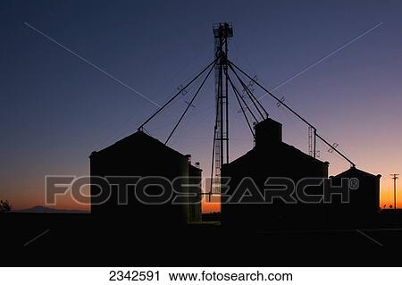 Stock Image - Agriculture - Grain bins and grain legs silhouetted by the sunset / near Lodi, California, USA.. Fotosearch