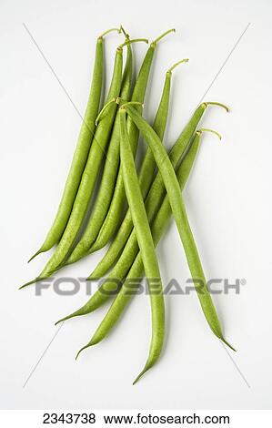 Agriculture - Green beans on a white surface. View Large Photo Image Stock Photo - Agriculture - Green beans on a white surface.. Fotosearch