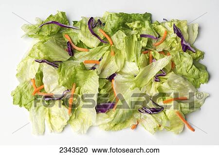 Agriculture - Iceberg salad mix consisting of chopped Iceberg lettuce, shredded carrots and red cabbage. View Large Photo Image Stock Image - Agriculture - Iceberg salad mix consisting of chopped Iceberg lettuce, shredded carrots and red cabbage.. Fotosearch