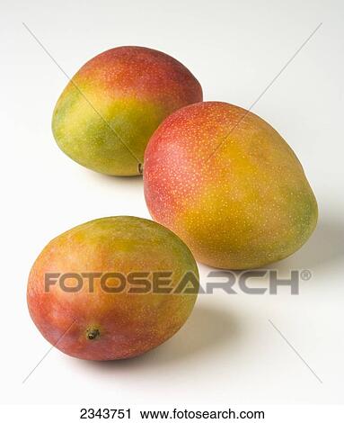 Agriculture - Mangos on a white surface. View Large Photo Image Stock Image - Agriculture - Mangos on a white surface.. Fotosearch