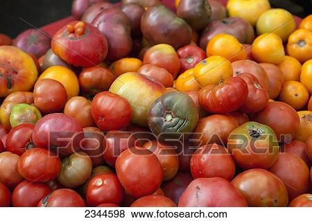Stock Photo - Agriculture - Organic Heirloom tomatoes at the Hope Street Farmers Market / Providence, Rhode Island, USA.. Fotosearch