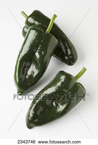 Agriculture - Poblano peppers on a white surface. View Large Photo Image Stock Photograph - Agriculture - Poblano peppers on a white surface.. Fotosearch