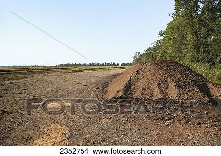 Agriculture - Poultry house litter piled up at the edge of a field, to be spread on the land as fertilizer after the rice in the background is harvested / near England, Arkansas, USA. View Large Photo Image Picture - Agriculture - Poultry house litter piled up at the edge of a field, to be spread on the land as fertilizer after the rice in the background is harvested / near England, Arkansas, USA.. Fotosearch