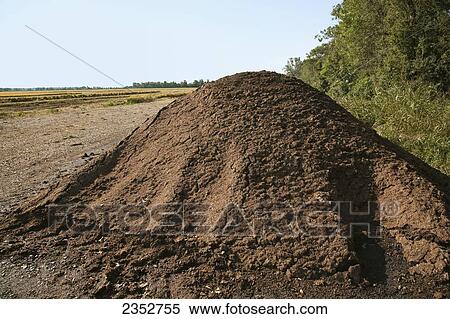 Stock Photography - Agriculture - Poultry house litter piled up at the edge of a field, to be spread on the land as fertilizer after the rice in the background is harvested / near England, Arkansas, USA.. Fotosearch