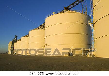 Agriculture - Rice storage elevators in late afternoon light / Northern California, USA. View Large Photo Image Stock Photography - Agriculture - Rice storage elevators in late afternoon light / Northern California, USA.. Fotosearch