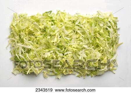 Agriculture - Shredded Romaine lettuce on a white surface. View Large Photo Image Stock Photo - Agriculture - Shredded Romaine lettuce on a white surface.. Fotosearch