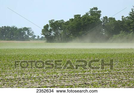 Agriculture - Strong winds blow sand across a field of cotton seedlings. Blowing sand can cause damage to, or loss of the crop / Northeast Arkansas, USA. View Large Photo Image Picture - Agriculture - Strong winds blow sand across a field of cotton seedlings. Blowing sand can cause damage to, or loss of the crop / Northeast Arkansas, USA.. Fotosearch