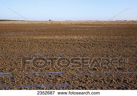Agriculture - Tilled field in mid winter with standing water after a storm / Arkansas, USA. View Large Photo Image Stock Photo - Agriculture - Tilled field in mid winter with standing water after a storm / Arkansas, USA.. Fotosearch