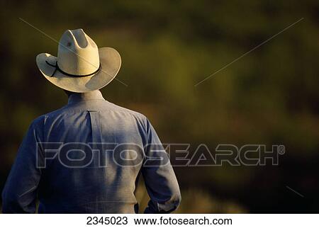 Stock Image - Agriculture - View of a cowboy from behind / Cee Vee, Texas, USA.. Fotosearch