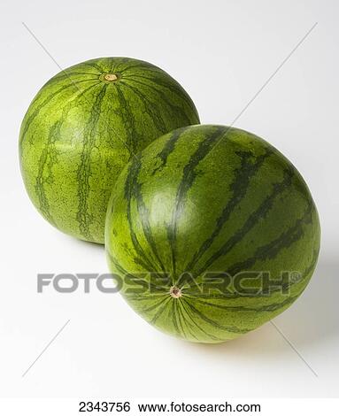 Agriculture - Watermelons on a white surface. View Large Photo Image Stock Photograph - Agriculture - Watermelons on a white surface.. Fotosearch