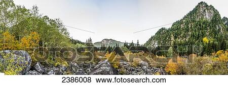 Alder Flats in autumn; British Columbia, Canada View Large Photo Image Stock Photo - Alder Flats in autumn; British Columbia, Canada. Fotosearch