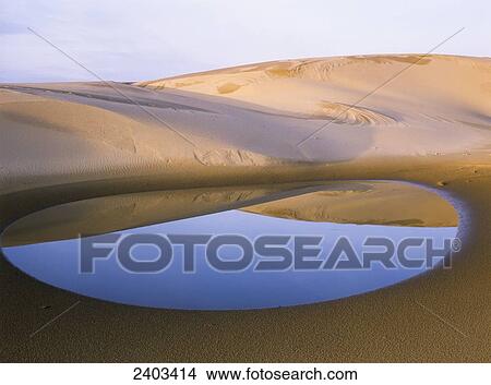 An ephemeral pond mirrors the Umpqua Dunes, Oregon Dunes National Recreation Area; Lakeside, Oregon, United States of America View Large Photo Image Picture - An ephemeral pond mirrors the Umpqua Dunes, Oregon Dunes National Recreation Area; Lakeside, Oregon, United States of America . Fotosearch