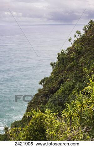 Stock Photography - An expansive view of the ocean from a lush slope on the coast; Haena, Kauai, Hawaii, United States of America. Fotosearch