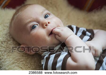 Baby boy happily lounging with fingers in his mouth; Toronto, Ontario, Canada View Large Photo Image Stock Photo - Baby boy happily lounging with fingers in his mouth; Toronto, Ontario, Canada. Fotosearch