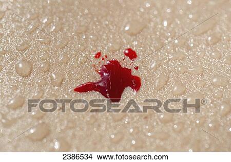 Blood drop on wet skin; Locarno, Ticino, Switzerland View Large Photo Image Picture - Blood drop on wet skin; Locarno, Ticino, Switzerland. Fotosearch