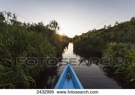 Stock Photography - Boat on the Sekonyer River, Tanjung Puting National Park, Central Kalimantan, Borneo, Indonesia. Fotosearch