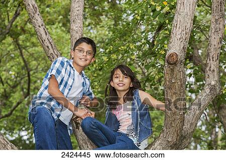 Brother and sister sitting in a tree in a park; Edmonton, Alberta, Canada View Large Photo Image Stock Photography - Brother and sister sitting in a tree in a park; Edmonton, Alberta, Canada. Fotosearch