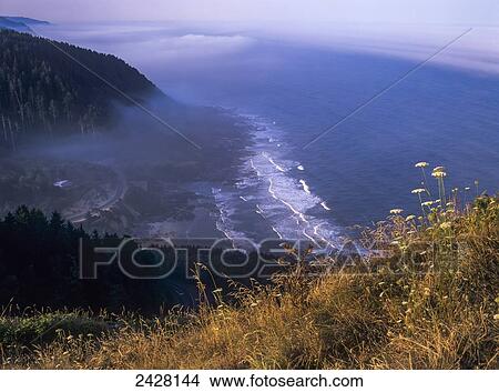 Picture - Cape Perpetua overlooks the Central Oregon Coast; Yachats, Oregon, United States of America. Fotosearch