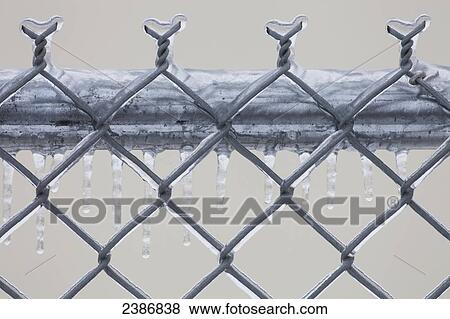 Chain link fence after an ice storm; Georgetown, Ontario, Canada View Large Photo Image Stock Photo - Chain link fence after an ice storm; Georgetown, Ontario, Canada. Fotosearch