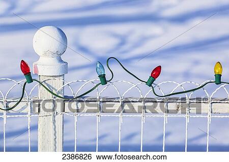 Stock Photograph - Christmas lights on fence; Gimli, Manitoba, Canada. Fotosearch