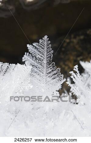 Stock Photo - Close up detail of ice crystals; Banff, Alberta, Canada. Fotosearch